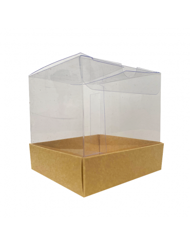 Caja acetato transparente sacchetto 50x40x155mm