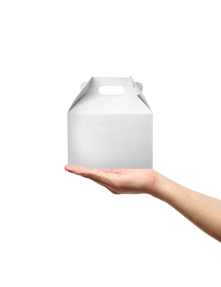 Caja Chica Tipo Box Lunch de Colores