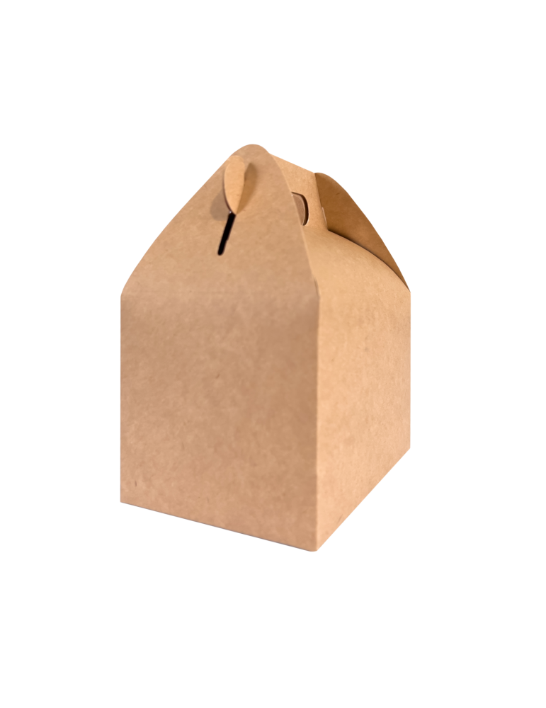 Caja Chica Tipo Box Lunch de Colores