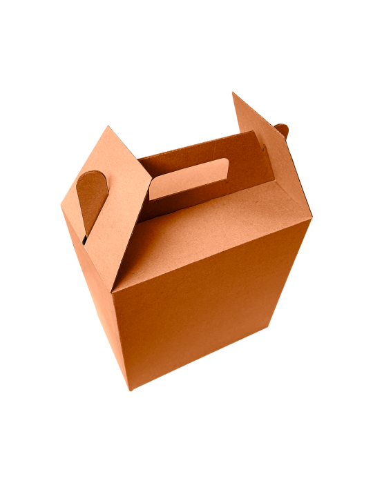 Caja de Cartón Microcorrugado Tipo Box Lunch Jumbo
