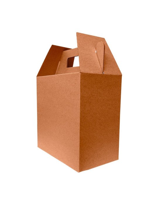 Caja de Cartón Microcorrugado Tipo Box Lunch Jumbo
