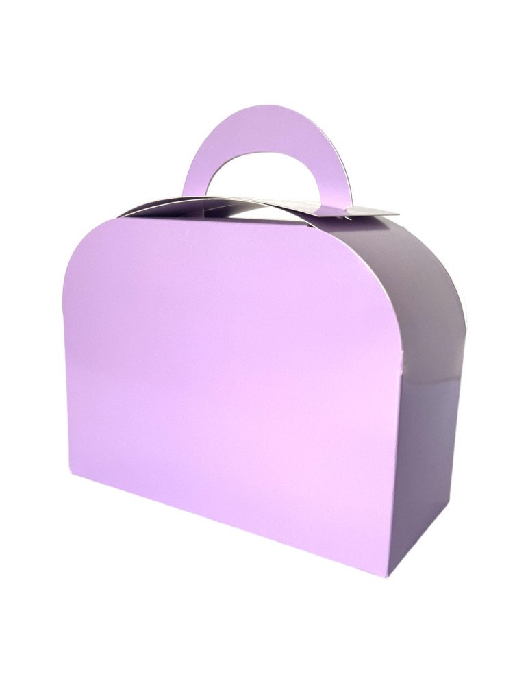 Caja Tipo Fancy Box Lonchera Grande de Colores