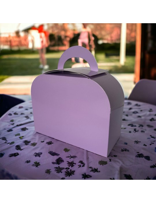 Caja Tipo Fancy Box Lonchera Grande de Colores