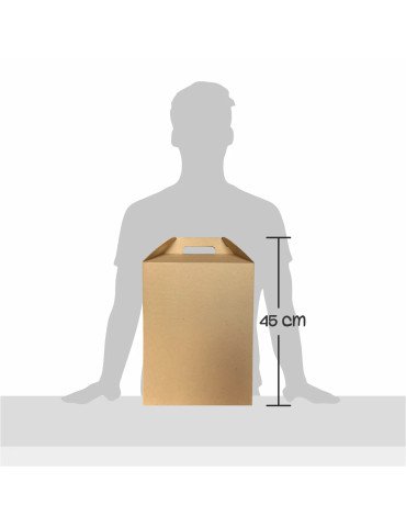 Caja de Cartón Microcorrugado Tipo Box Lunch Gigante 2