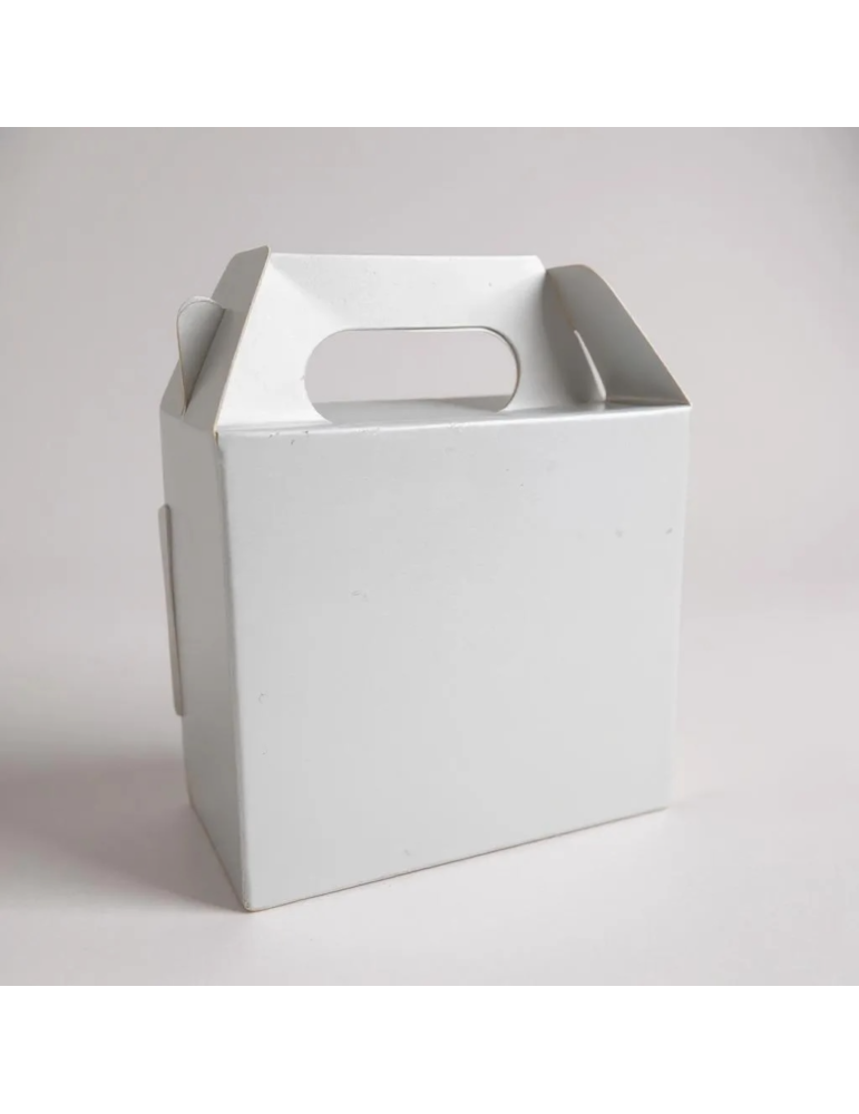 Caja Nano Tipo Box Lunch Color Blanco