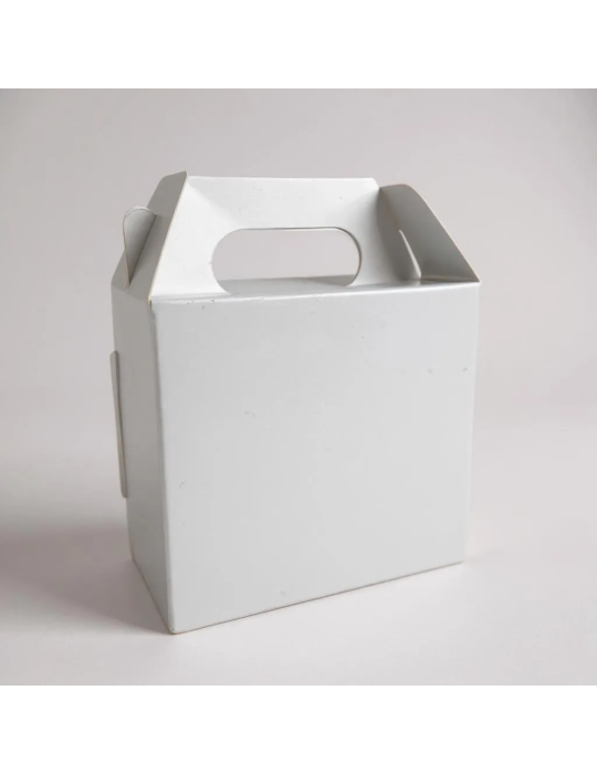 Caja Nano Tipo Box Lunch Color Blanco