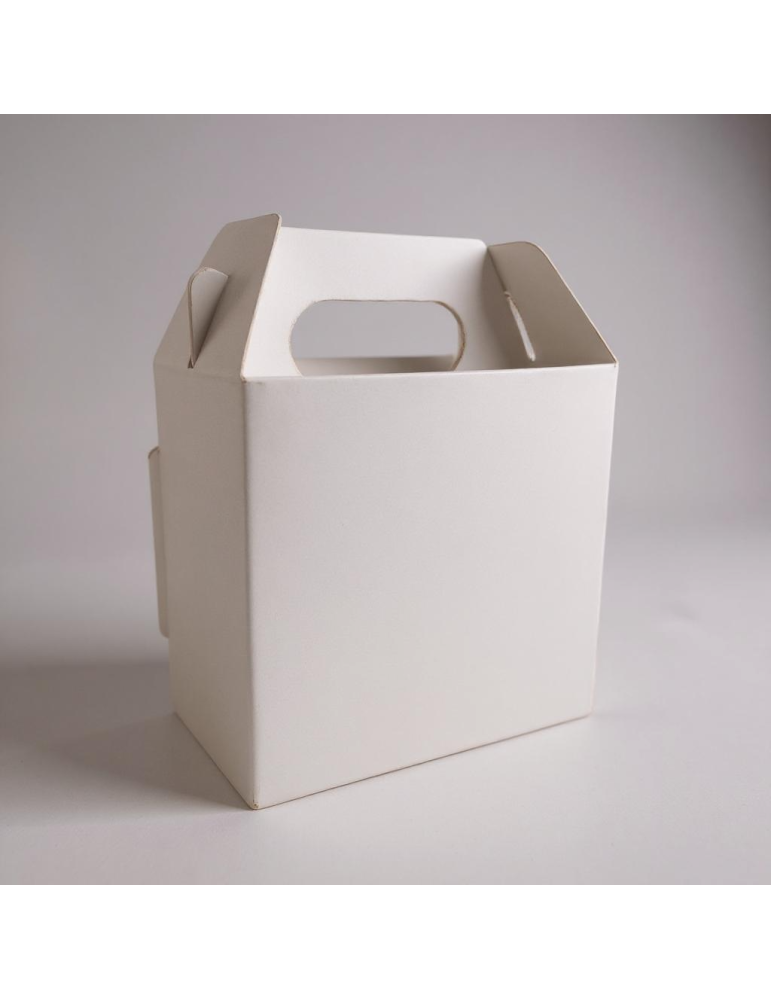 Caja Nano Tipo Box Lunch Color Blanco