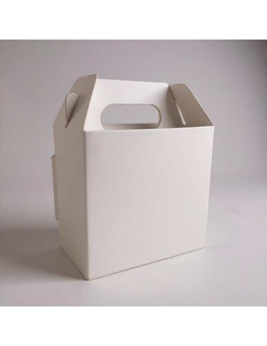 Caja Nano Tipo Box Lunch Color Blanco