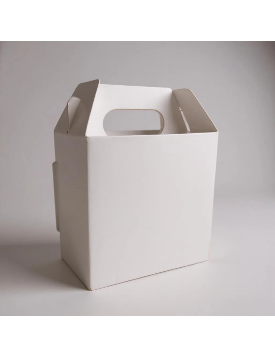 Caja Nano Tipo Box Lunch Color Blanco
