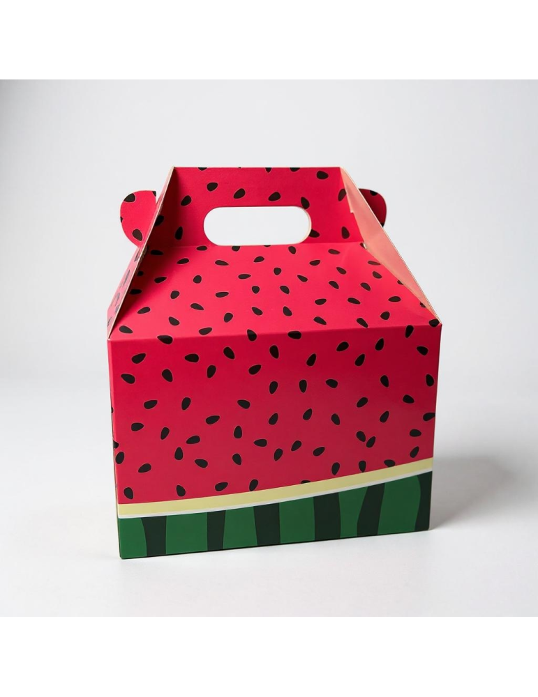 Inkvasor Caja Tipo Box Lunch Diseño Sandía