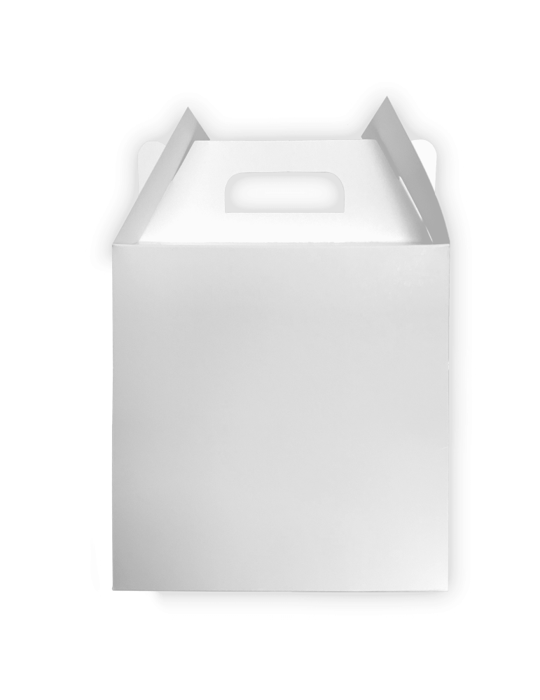 Caja Grande Tipo Box Lunch Color Blanco