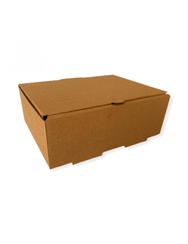 Caja De Cartón Para Envíos Mailbox 2