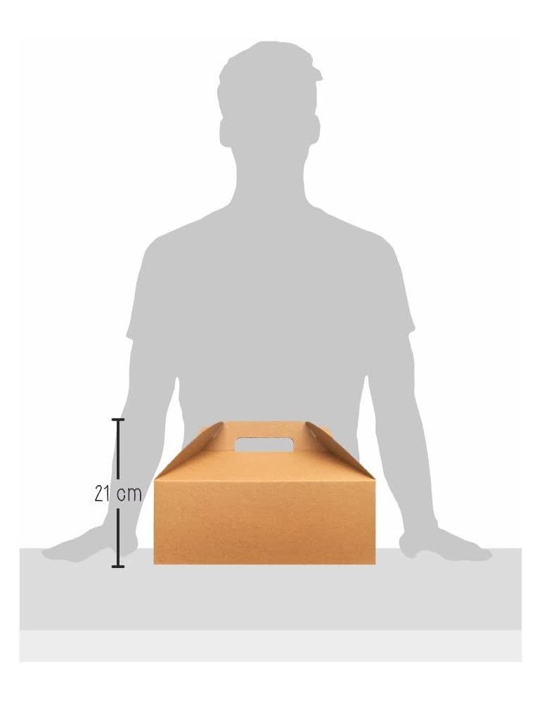 Caja de Cartón Microcorrugado Tipo Box Lunch Grande