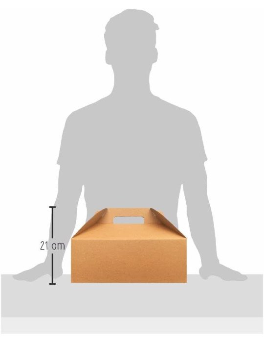 Caja de Cartón Microcorrugado Tipo Box Lunch Grande