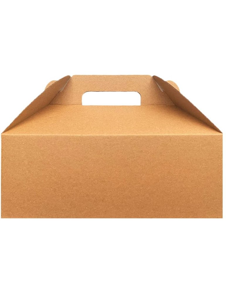 Caja de Cartón Microcorrugado Tipo Box Lunch Grande