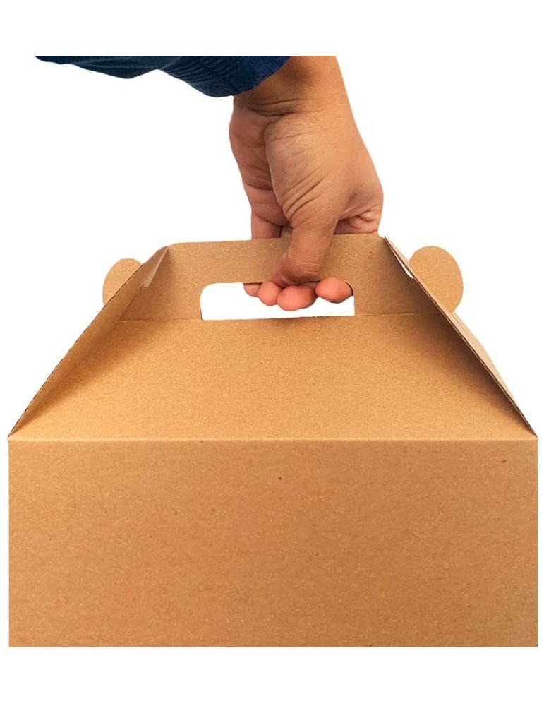 Caja de Cartón Microcorrugado Tipo Box Lunch Grande