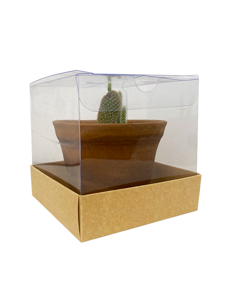 Caja De Acetato Transparente Para Regalos