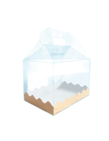 Box Lunch de Acetato Transparente 2