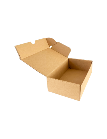 Caja De Cartón Para Envíos Mailbox 2