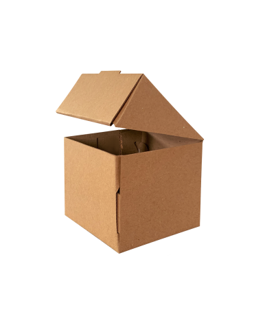 Caja Chica de Cartón Microcorrugado para Regalo Sorpresa