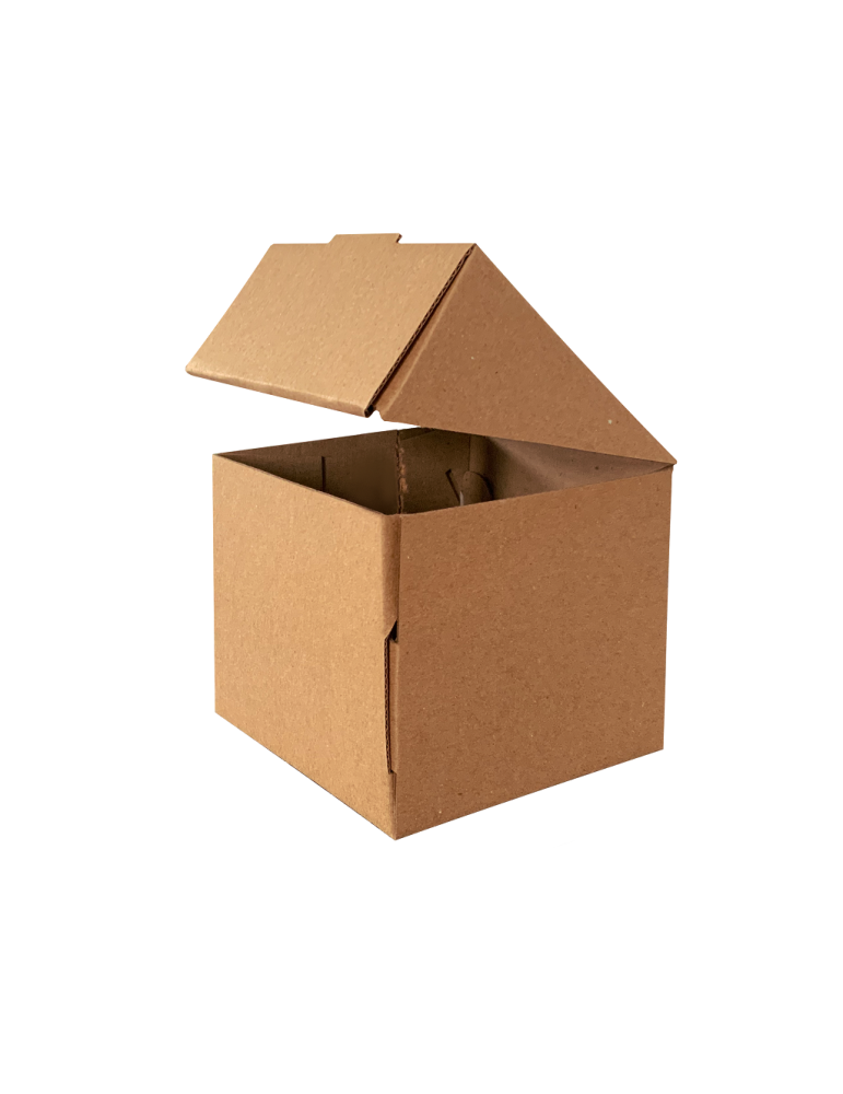 Caja Chica de Cartón Microcorrugado para Regalo Sorpresa